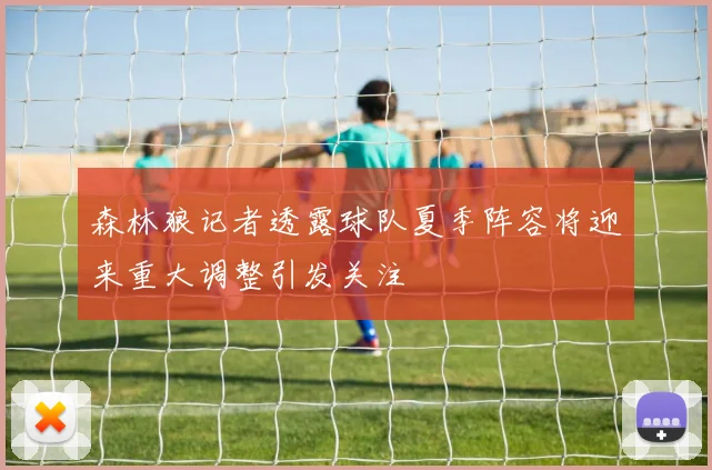 森林狼记者透露球队夏季阵容将迎来重大调整引发关注
