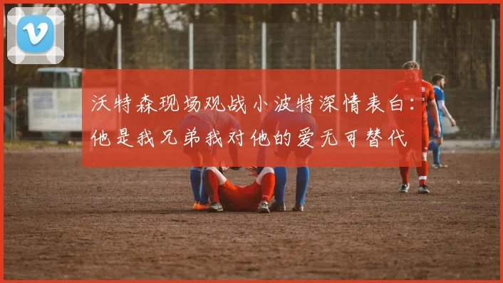 沃特森现场观战小波特深情表白：他是我兄弟我对他的爱无可替代